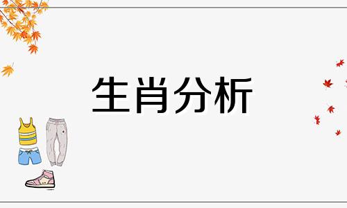 属猪的和属鸡的配吗属相 属猪的和属鸡的配吗好吗