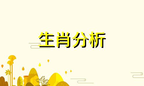 2000年出生的今年多大了属什么