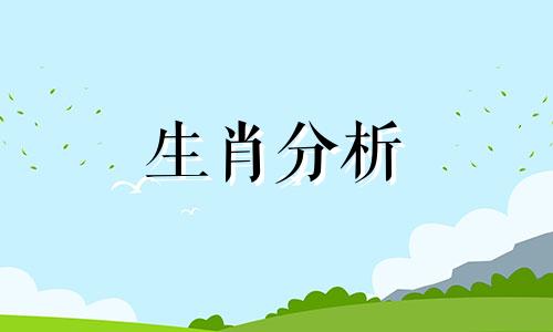 属猪2022年虚岁多大年龄 属猪2021年虚岁多大