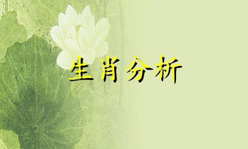 生肖马和12生肖的配对关系是什么