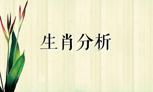 属狗2024年每月运势及运程详解视频