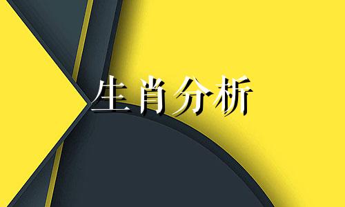 2024年幸运生肖视频播放 2024年什么生肖财运好