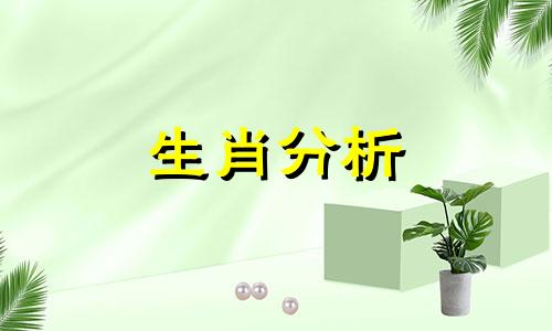 属牛的人2023年每月运势 属牛2023年全年运势详解