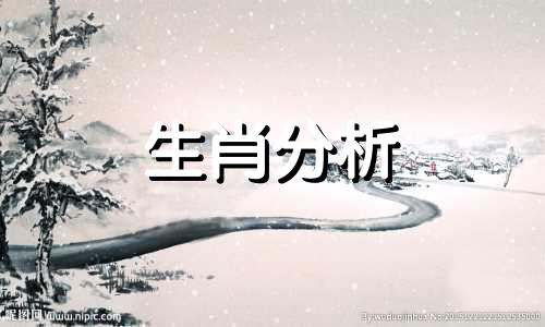 属马的2023年的学业运势分析 如何提升学习运势