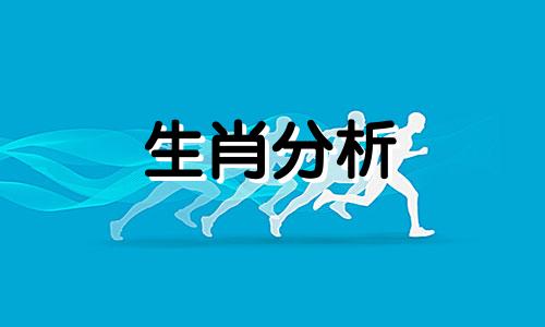 1963年属兔人2023年运势男命10月22生