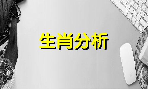 今日生肖运势查询每日运程