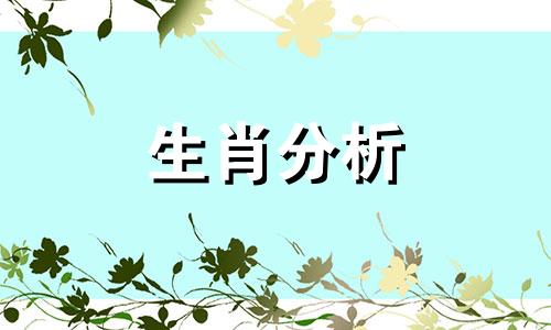 85年女生肖牛2023年运势 事业稳定 收入高