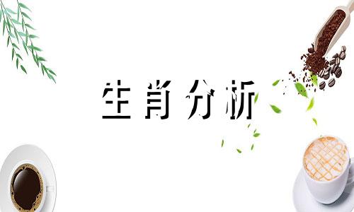 2023年生肖蛇男运势怎么样呢