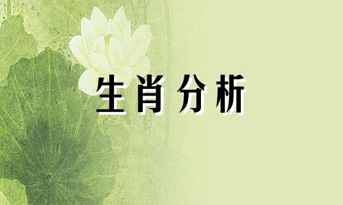 生肖狗2023年财运如何呢 生肖狗2023年运势详解