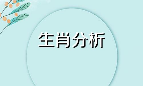 生肖蛇2021年下半年财运 属蛇的下半年财运