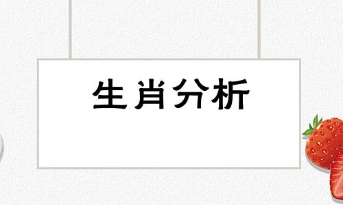 2023年属马的全年运势怎么样视频