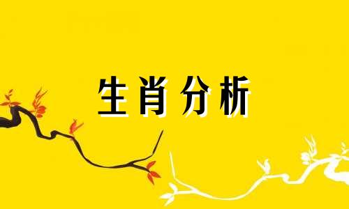 属狗2022年8月运势及运程详解