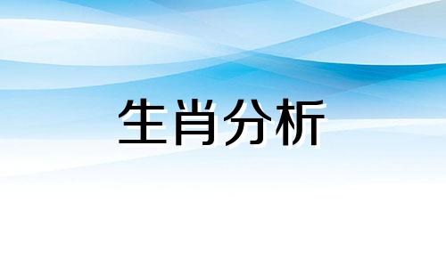 属龙的2020年财运各方面怎么样?