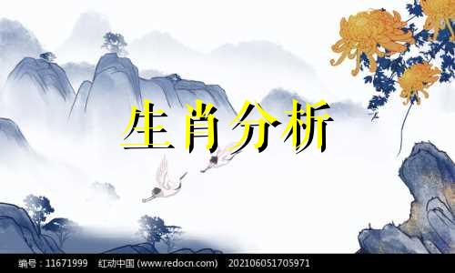 2022年生肖今日运势查询 生肖2021今日运势