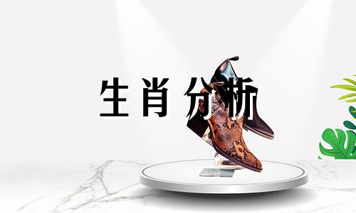 属猴的2022年5月份的运势如何