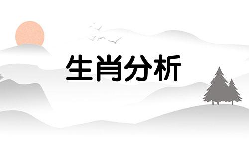 每日十二生肖运势查询 2023年7月19日