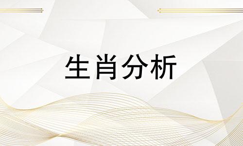 1989年出生的人2022年运势 属蛇人运势解析