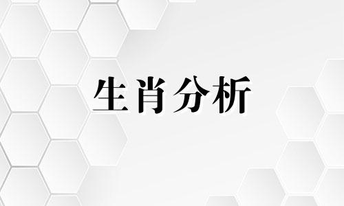 2022虎年十二生肖运势如何