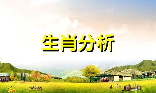 属虎人2022年2月份运气如何