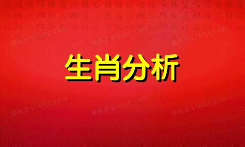 属羊遇到2022虎年运气如何呢