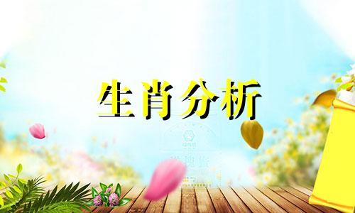 属兔今年运势2022年运势如何