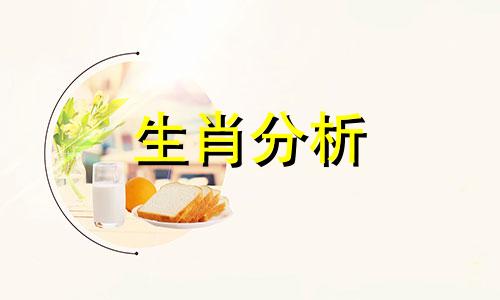 属猪2021年12月运势及运程详解视频