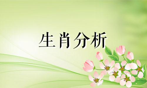 今日运程每日运势生肖马 今日运程每日运势生肖完整版