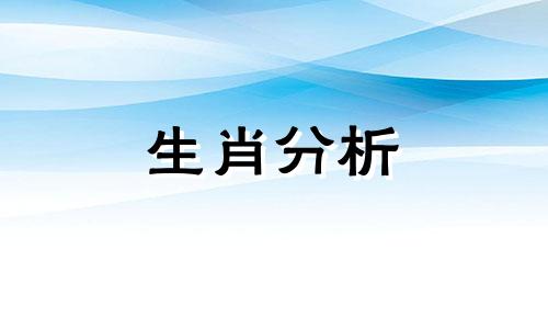 属马的人2022年虎年运势如何