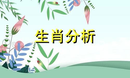 属龙虎年运势2022运势详解图