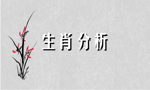 属鼠的2021年跟属什么的合作最好