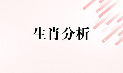 12月底感情运旺的生肖是什么