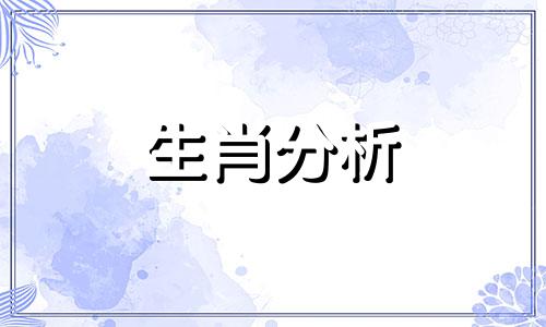 2022属兔人的全年运势如何呢