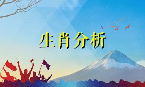 2022年兔生肖运势大全及运程