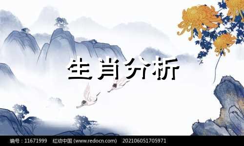 属鼠人2022年虎年运势解析女性