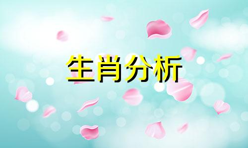 2003年属羊的在2022年学业运气怎样