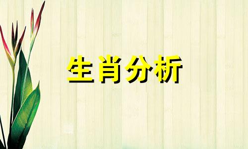 属狗摩羯座2021年运势及运程详解