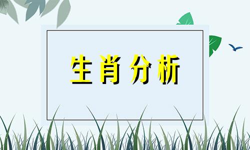 十二生肖每周运势详解2023.5.9—5.14