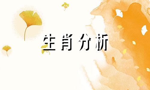 2022年生肖兔财运如何呢 2021年生肖兔财运