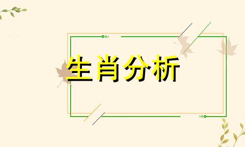 属猪今年运势2024年运势怎么样