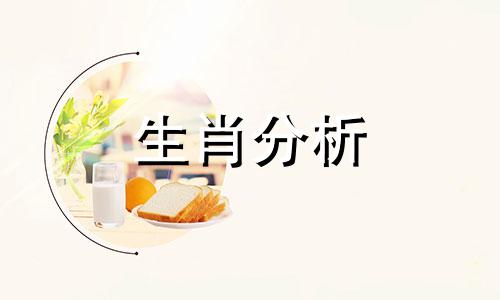 生肖鸡运势2024年运程详解