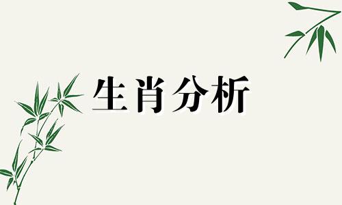 1990年属马2019年运势及运程详解