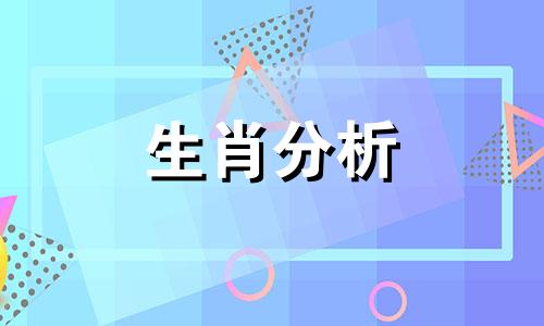 属兔人2019年2月整体运势如何