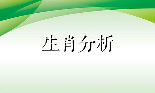 十二生肖属兔的运势如何 12生肖属兔的运势