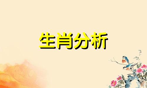 1995年属猪2019年运势及运程查询