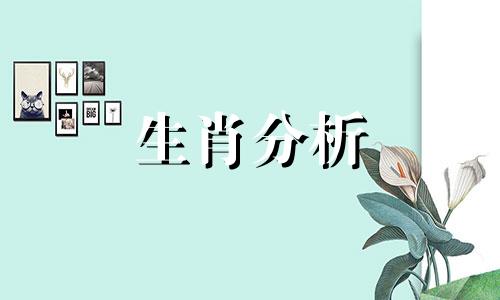 属兔18年阳历12月份运势 2018年属兔的财运如何