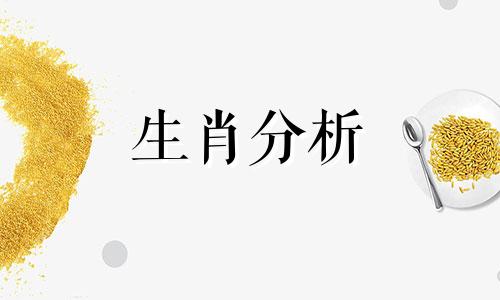 1961年属牛人在2019年运势