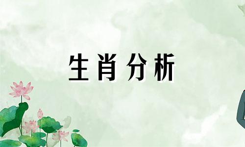 属羊人2018年8月整体运势如何