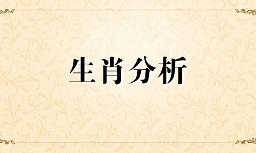 1999年属兔在2019年运势及运程