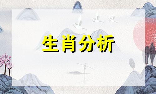 1991年属羊人2019年运势运程每月运程