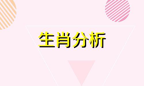 1971年属猪2019年运势及运程